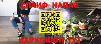 шишки Новодвинск