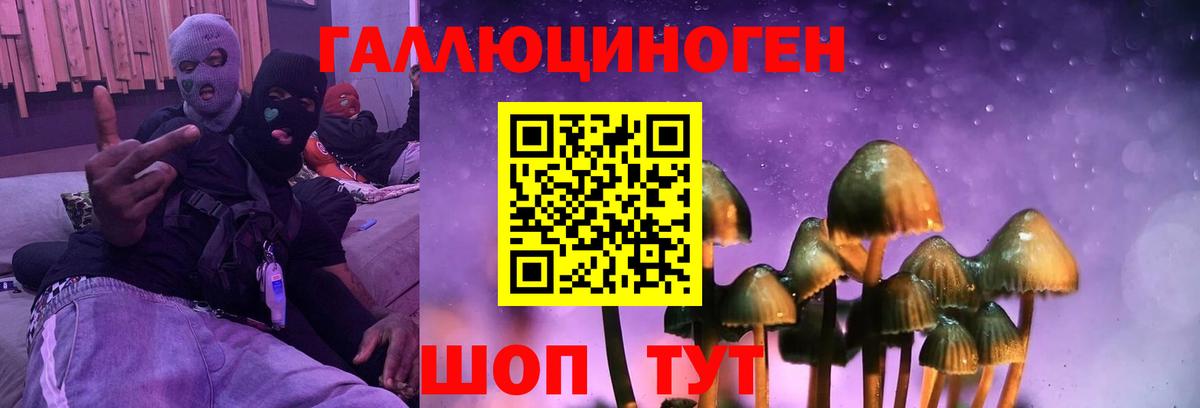 Галлюциногенные грибы GOLDEN TEACHER  Галлюциногенные грибы Magic Shrooms  Вход с VPN  Кизилюрт 